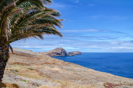 Idyllic landscape with palm growing near deserted Sao Lorenco cape washed by deep blue Atlantic ocean and framed by pink toned clouds. Popular tourist destionation in Madeira, Portugal. Background with copy space.の写真素材