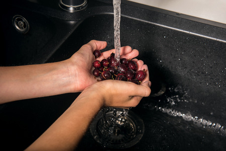 Red gooseberries in caucasian boy's hands. Boy is holding ripe wet berries under the flow of tap water and washing them.の写真素材