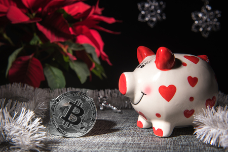 Festive composition with silver colored bitcoin souvenir coins, white and red pig money bank and Christmas decor. Selective focus. Christmas star plant at background. Investment and savings concepts.の写真素材