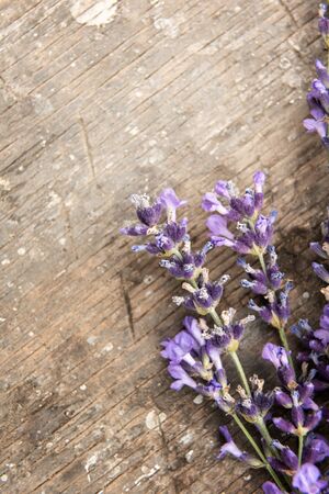 Close up of small bunch of beautiful fresh lavender flowers on old rough textured natural wooden surface. View from directly above. Selective focus. Vertical background with copy space.の写真素材