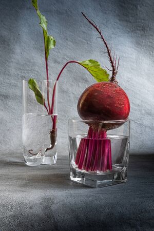 Close-up of fresh bright red beetroot and beetroot leaves in two glasses filled with clean water....