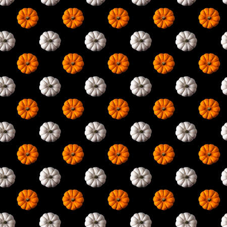 Seamless pattern with bright orange and white round textured pumpkins on black background. Directly above view.の写真素材