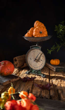 Autumn still life with harvest of orange pumpkins weighted on old dirty vintage scales on old textured natural wooden surface. Selective focus. Dark background with copy space. Vertical orientation.の写真素材