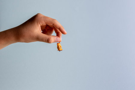 Hand of Caucasian teenager boy with haw stump in fingers. Small raw fruit leftovers in human hand. Copy space. Unrecognizable person. Horizontal orientation. Healthy eating concept. Blue background.の写真素材