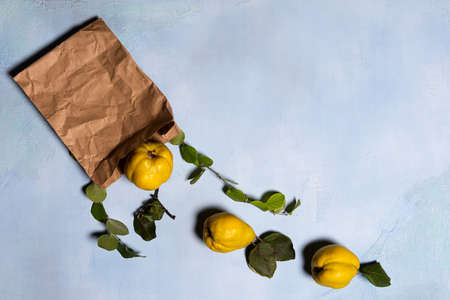 Crumpled paper shopping bag, ripe quince apples and green tree branches. Flat lay on blue. Fruits and leaves have natural imperfections, spots and scratches. Zero waste shopping concept. Copy space.の写真素材