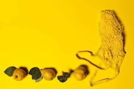 Ripe quince apples and yellow mesh bag on yellow paper. Directly above view. Fruits and leaves have natural imperfections, spots and scratches. Eco friendly shopping and sustainable living conceptの写真素材