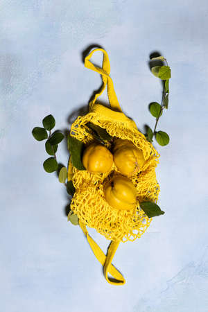 Ripe quince apples on yellow mesh bag with tree branches on blue background. Directly above view. Fruits and leaves have natural imperfections, spots and scratches. Hard shadows. Vertical orientation.の写真素材