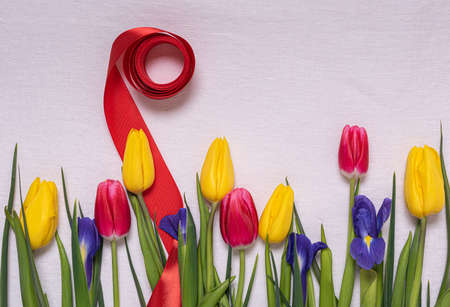 Bright pink and yellow tulips and blue irises with leaves on natural white linen. Springtime...