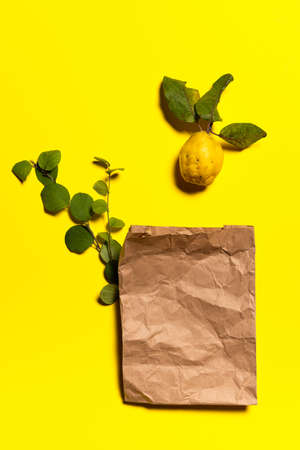 Crumpled shopping bag made of recycled paper, yellow quince apple and green tree branches on yellow paper background. Fruit and leaves have natural spots and scratches. Zero waste shopping concept.の写真素材