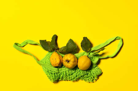 Row of quince apples with natural leaves in green net string shopping bag. Flat lay on yellow paper background. Fruits and leaves have natural imperfections, spots and scratches. Copy space.の写真素材