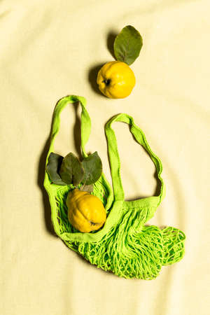 Two organic quince apples with leaves in green mesh bag on wrinkled natural pastel colored linen background. Fruits have natural imperfections. Conscious consumerism concept. Vertical orientation.の写真素材