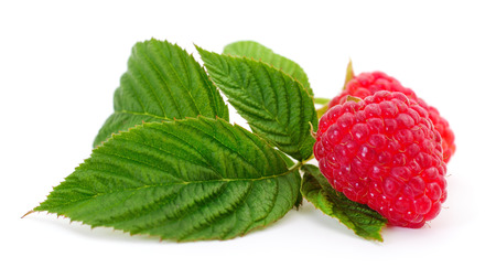 Raspberries and leaves isolated on white background.の写真素材