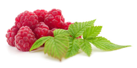 Raspberries and leaves isolated on white background.の写真素材
