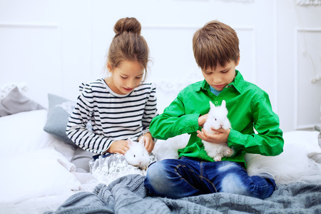 Little brother and sister holding fluffy rabbit. The concept of love, friendship and childhood.の写真素材