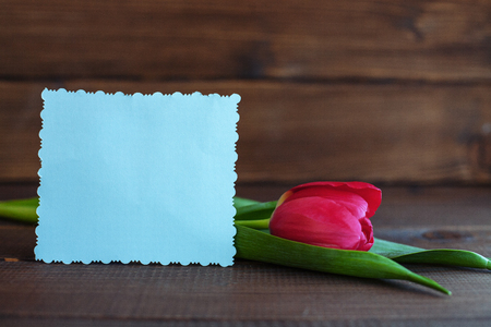 Welcome card and tulip on a dark wooden background. Concept of holiday, birthday, Easter, March 8.の写真素材