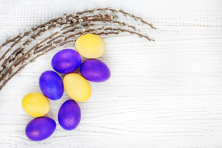Colored eggs and pussy willow. Concept Happy Easter.の写真素材