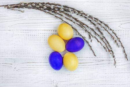 Yellow and purple Easter eggs and pussy willow. Concept Happy Easter.の写真素材