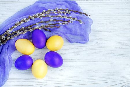 Yellow and purple eggs and willow. Congratulations. Concept Happy Easter.