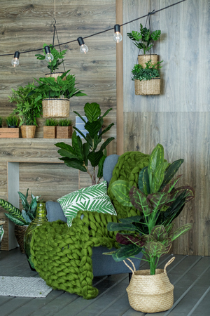 Room with armchair and many plants. Concept of living room, interior, home.の写真素材
