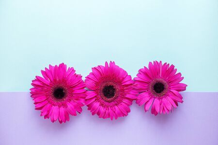 Minimal style, flat lay. Background with pink flowers. Horizontal. Copy space.の写真素材