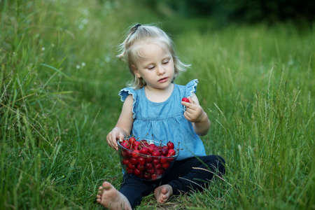 Little girl eats cherries on nature backgroundの写真素材