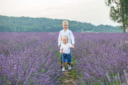 Two small children, boy and girl, are walking in countryside in summer. purple lavender field.の写真素材