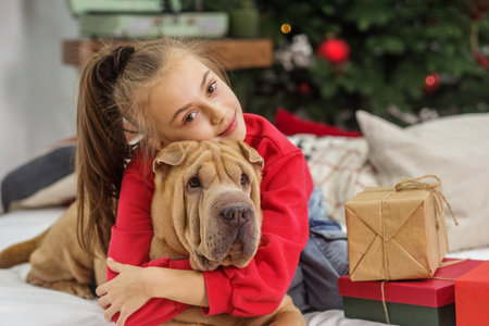 Boxing Day. Shar Pei dog. Merry Christmas and Happy Holidays. Child girl and dog at Christmas.の写真素材