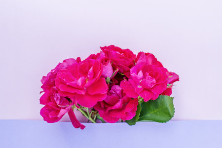 Bright pink rose bouquet arranged inside a lavender envelope on a pale background, ideal for romantic, floral, or greeting card themes.の写真素材