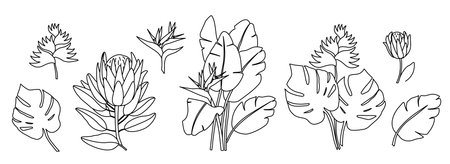 Flower bouquets in lines for tattoos. Line drawing of flower tattoos. Line drawing of flowers.のイラスト素材
