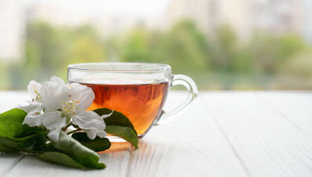 Transparent glass cup with hot tea and a branch of white flowers on a white wooden backgroundの写真素材