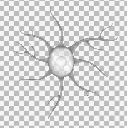 3d gray human neuron, isolated on transparent background. Realistic vector illustration. Template for medicine and biology presentations, flyers, posters.のイラスト素材