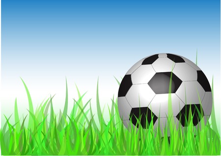 Soccer ball illustration のイラスト素材