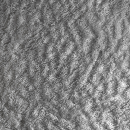 Nice and light  grey fur backgroundの写真素材