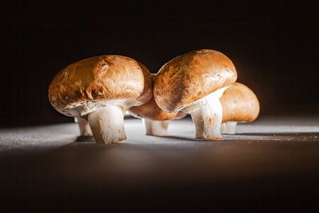 4 royal champignons close-up on a black backgroundの写真素材
