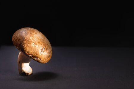 One royal mushroom champignon stands on a black backgroundの写真素材