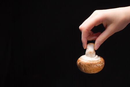 The hand holds a mushroom by a leg on a black backgroundの写真素材