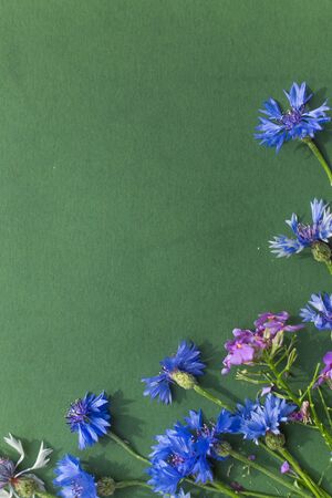 On a green background purple and blue flowersの写真素材
