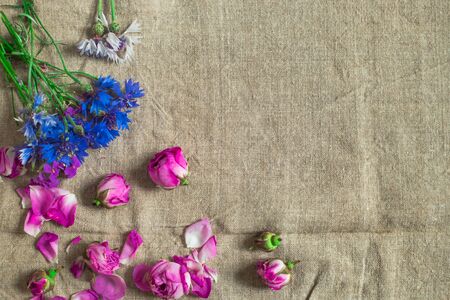 Flowers roses and girls on the background of homespun clothの写真素材