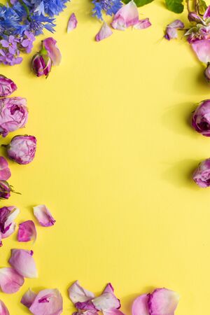 Flowers roses and girls on a yellow backgroundの写真素材