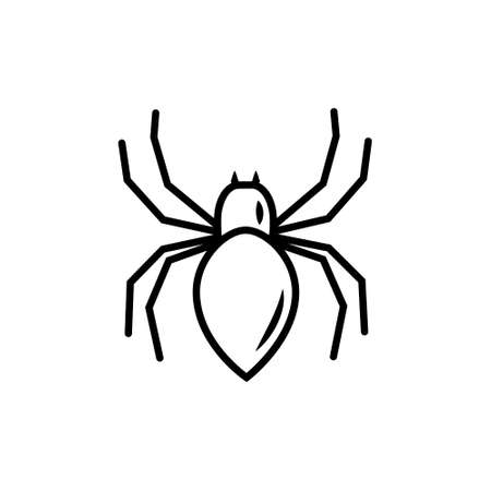 Vector line art spider isolated on white background. Insect with eight legs for Halloween design.のイラスト素材