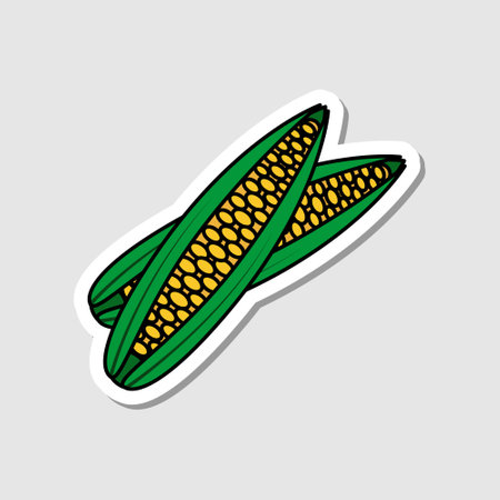 Vector corn sticker in cartoon style. Isolated vegetable with shadow. Flat simple icon with black linesのイラスト素材