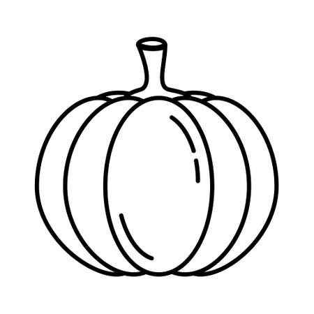 Vector line art pumpkin icon. Isolated vegetable contour for coloring. Simple black food shape in cartoon style.のイラスト素材