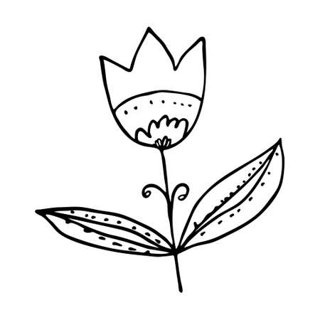 Vector doodle flower simple style. Isolated linear handdrawn tulip with leaves on white backgroundのイラスト素材