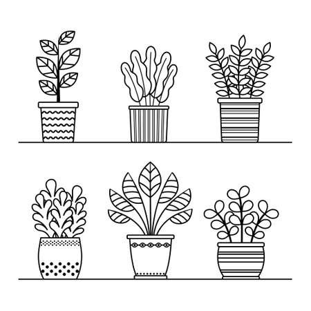 Vector outline plants in pots collection. Isolated linear potted home flowers set for coloring pageのイラスト素材