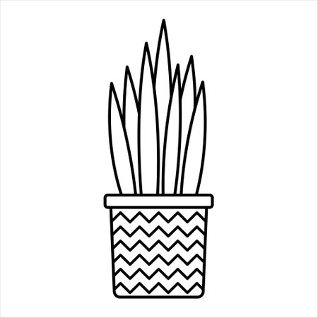 Linear vector snake plant icon. Isolated outline picture of the houseplant on whiteのイラスト素材