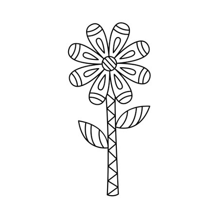 Contour ornate flower simple style vector illustration. Linear geomentric daisy isolated on whiteのイラスト素材