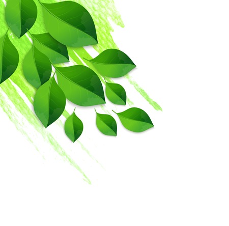 Vector Spring green leaves background with watercolorのイラスト素材