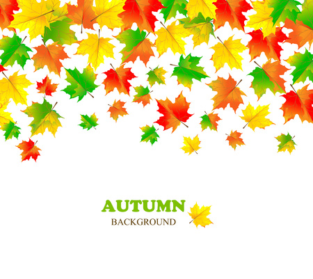 Beautiful autumn backdrop with color falling maple leaves. Place for text. Vector illustrationのイラスト素材