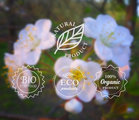 Spring background. Vector typography eco labels set on spring flower blurry background for card, banner or web design.のイラスト素材