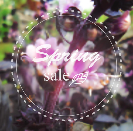 Spring background. Vector typography eco labels set on spring flower blurry background for card, banner or web design.のイラスト素材